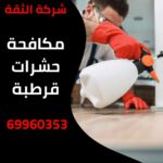 مكافحة حشرات قرطبة