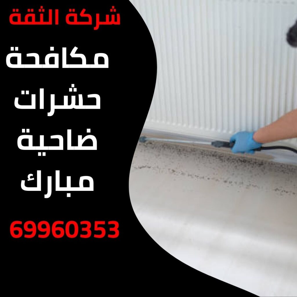 مكافحة حشرات ضاحية مبارك