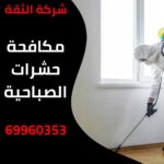 مكافحة حشرات الصباحية