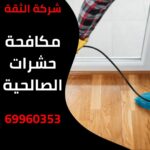مكافحة حشرات الصالحية