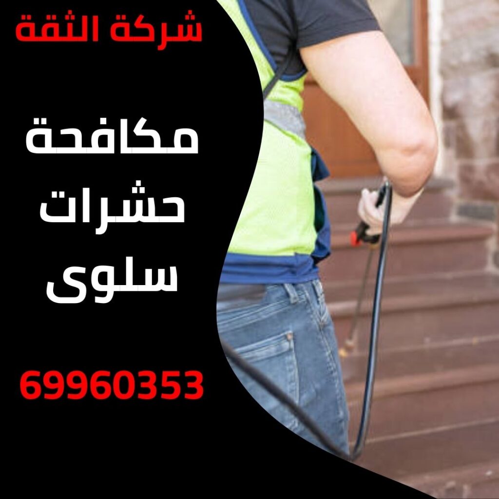 مكافحة حشرات سلوى