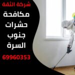 مكافحة حشرات جنوب السرة